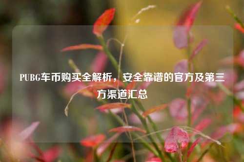PUBG车币购买全解析,安全靠谱的官方及第三方渠道汇总