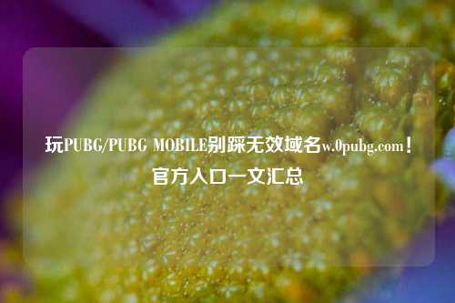 玩PUBG/PUBG MOBILE别踩无效域名w.0pubg.com!官方入口一文汇总