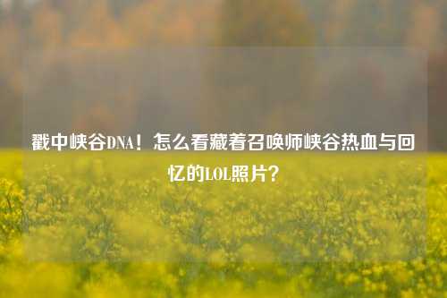 戳中峡谷DNA!怎么看藏着召唤师峡谷热血与回忆的LOL照片?