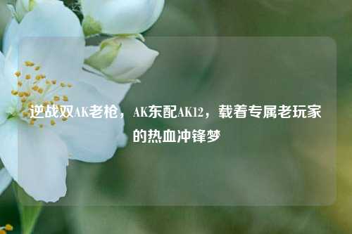逆战双AK老枪，AK东配AK12，载着专属老玩家的热血冲锋梦