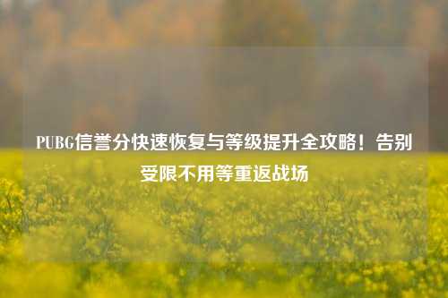 PUBG信誉分快速恢复与等级提升全攻略!告别受限不用等重返战场