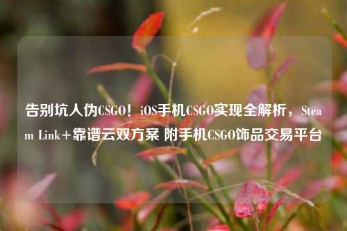 告别坑人伪CSGO!iOS手机CSGO实现全解析,Steam Link+靠谱云双方案 附手机CSGO饰品交易平台