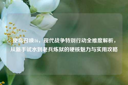 使命召唤16,现代战争特别行动全难度解析,从新手试水到老兵炼狱的硬核魅力与实用攻略