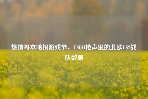 燃情哥本哈根游戏节,CSGO枪声里的北欧CS2战队数据