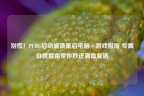 别慌!PUBG启动崩溃重启电脑≠游戏报废 专属自救指南带你秒进满血复活