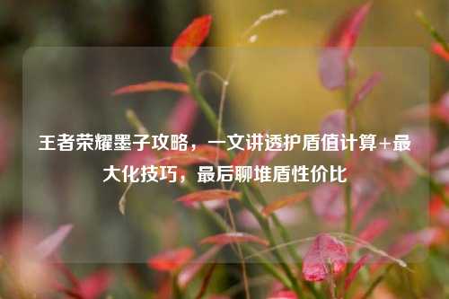 王者荣耀墨子攻略,一文讲透护盾值计算+最大化技巧,最后聊堆盾性价比