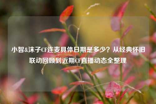 小智&沫子CF连麦具体日期是多少?从经典怀旧联动回顾到近期CF直播动态全整理