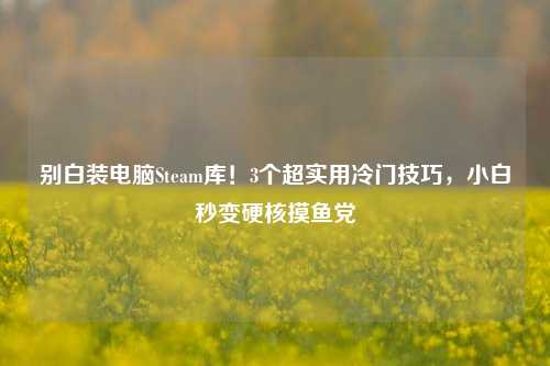别白装电脑Steam库!3个超实用冷门技巧,小白秒变硬核摸鱼党