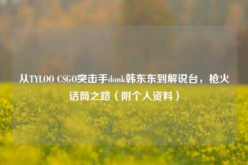从TYLOO CSGO突击手donk韩东东到解说台,枪火话筒之路(附个人资料)