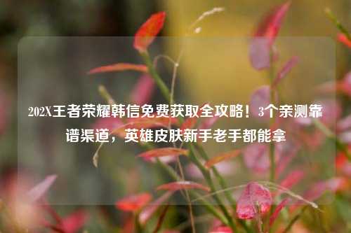 202X王者荣耀韩信免费获取全攻略！3个亲测靠谱渠道，英雄皮肤新手老手都能拿