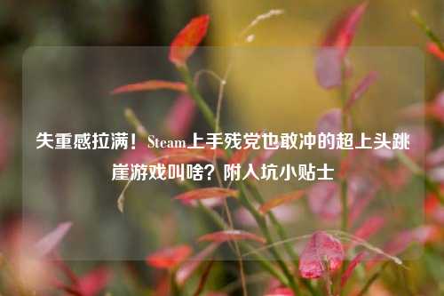 失重感拉满!Steam上手残党也敢冲的超上头跳崖游戏叫啥?附入坑小贴士