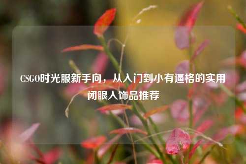 CSGO时光服新手向,从入门到小有逼格的实用闭眼入饰品推荐