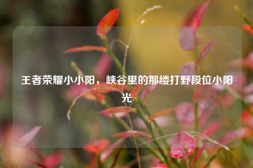 王者荣耀小小阳,峡谷里的那缕打野段位小阳光