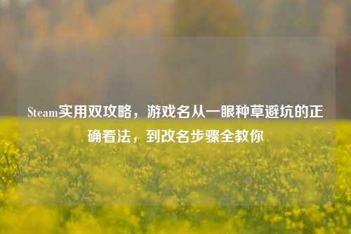 Steam实用双攻略，游戏名从一眼种草避坑的正确看法，到改名步骤全教你
