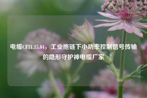 电缆CF31.15.04,工业拖链下小功率控制信号传输的隐形守护神电缆厂家