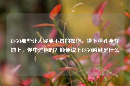 CSGO那些让人哭笑不得的操作,蹲下弹孔全在地上,你中过招吗?顺便说下CSGO蹲键是什么