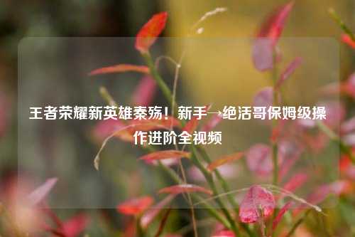 王者荣耀新英雄秦殇!新手→绝活哥保姆级操作进阶全视频