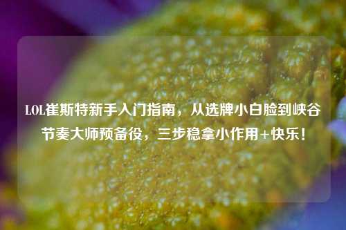 LOL崔斯特新手入门指南,从选牌小白脸到峡谷节奏大师预备役,三步稳拿小作用+快乐!
