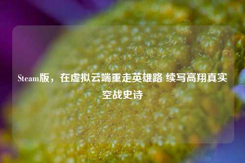 Steam版,在虚拟云端重走英雄路 续写高翔真实空战史诗