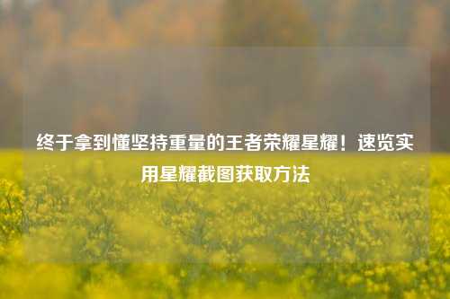 终于拿到懂坚持重量的王者荣耀星耀!速览实用星耀截图获取方法