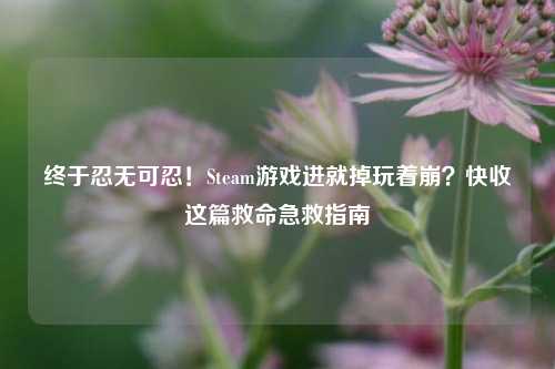 终于忍无可忍!Steam游戏进就掉玩着崩?快收这篇救命急救指南