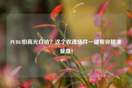 PUBG怕高光白给?这个收魂插件一键帮你精准复盘!