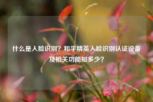 什么是人脸识别?和平精英人脸识别认证设备及相关功能知多少?