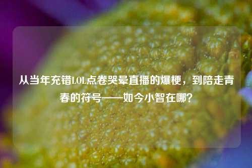从当年充错LOL点卷哭晕直播的爆梗,到陪走青春的符号——如今小智在哪?
