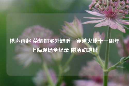 枪声再起 荣耀加冕外滩畔—穿越火线十一周年上海现场全纪录 附活动地址