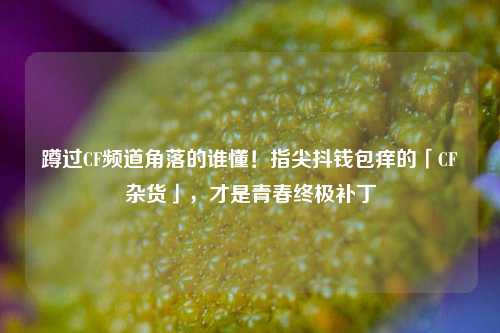 蹲过CF频道角落的谁懂!指尖抖钱包痒的「CF杂货」,才是青春终极补丁