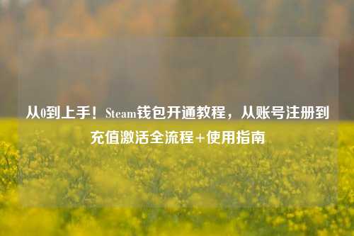 从0到上手!Steam钱包开通教程,从账号注册到充值激活全流程+使用指南