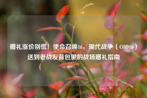 赠礼涨价别慌!使命召唤16,现代战争(COD16)送到老战友背包里的战场赠礼指南