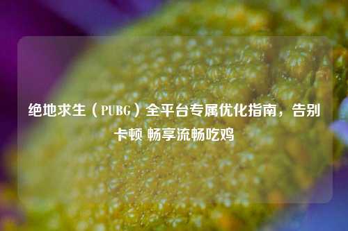 绝地求生(PUBG)全平台专属优化指南,告别卡顿 畅享流畅吃鸡