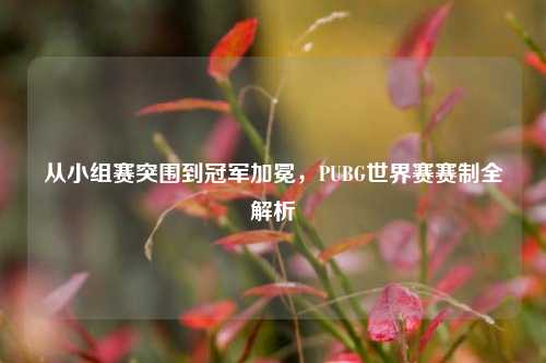 从小组赛突围到冠军加冕,PUBG世界赛赛制全解析