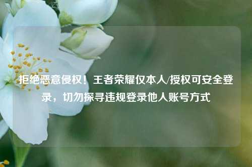 拒绝恶意侵权!王者荣耀仅本人/授权可安全登录,切勿探寻违规登录他人账号方式