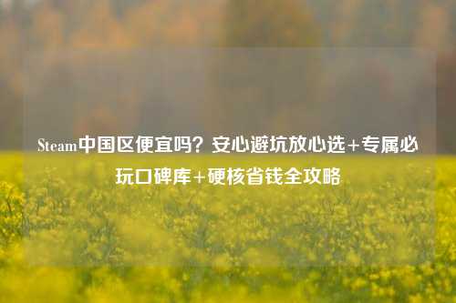 Steam中国区便宜吗?安心避坑放心选+专属必玩口碑库+硬核省钱全攻略