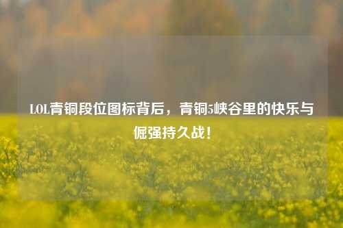 LOL青铜段位图标背后,青铜5峡谷里的快乐与倔强持久战!