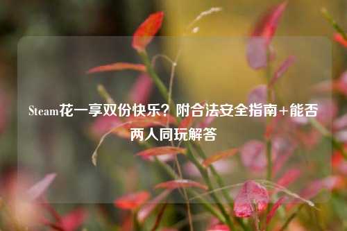 Steam花一享双份快乐?附合法安全指南+能否两人同玩解答