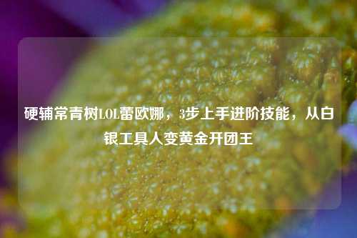 硬辅常青树LOL蕾欧娜,3步上手进阶技能,从白银工具人变黄金开团王