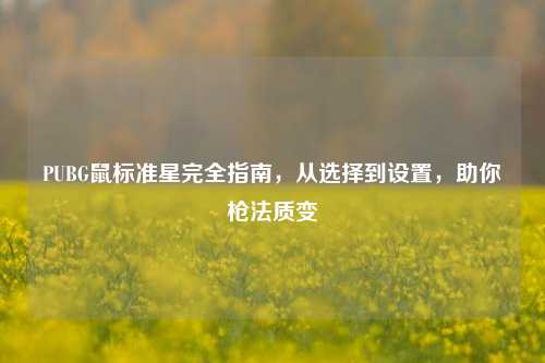 PUBG鼠标准星完全指南,从选择到设置,助你枪法质变