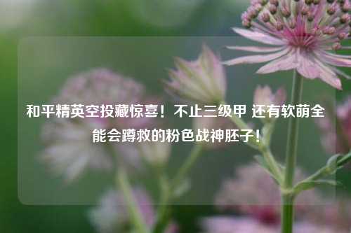 和平精英空投藏惊喜!不止三级甲 还有软萌全能会蹲救的粉色战神胚子!