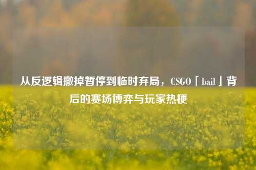 从反逻辑撤掉暂停到临时弃局,CSGO「bail」背后的赛场博弈与玩家热梗