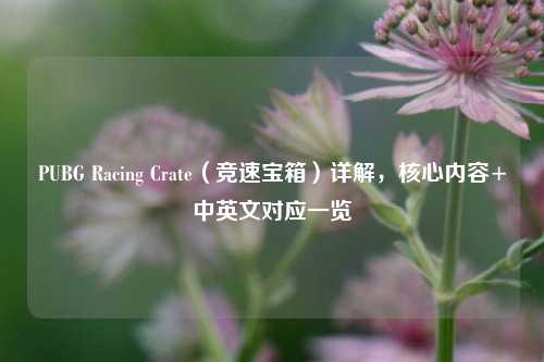 PUBG Racing Crate(竞速宝箱)详解,核心内容+中英文对应一览