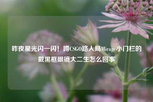 昨夜星光闪一闪!蹲CSGO路人局Mirage小门栏的戴黑框眼镜大二生怎么回事