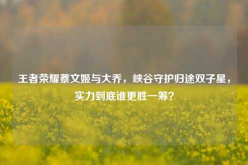 王者荣耀蔡文姬与大乔,峡谷守护归途双子星,实力到底谁更胜一筹?