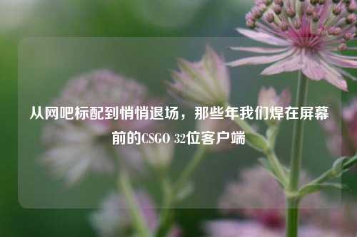 从网吧标配到悄悄退场,那些年我们焊在屏幕前的CSGO 32位客户端