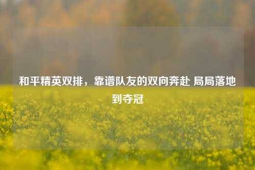 和平精英双排,靠谱队友的双向奔赴 局局落地到夺冠
