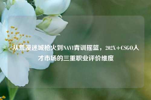 从荒漠迷城枪火到NAVI青训摇篮,202X+CSGO人才市场的三重职业评价维度