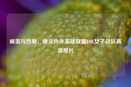 破茧与热爱,镜头内外英雄联盟LOL女子战队高清照片