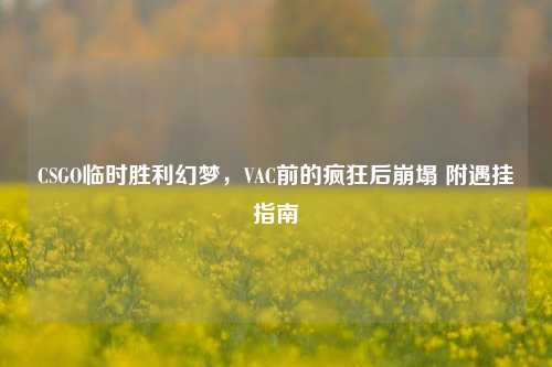 CSGO临时胜利幻梦,VAC前的疯狂后崩塌 附遇挂指南